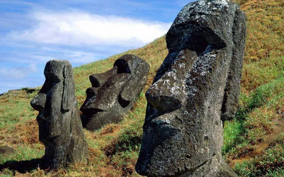 MOAI TEST
