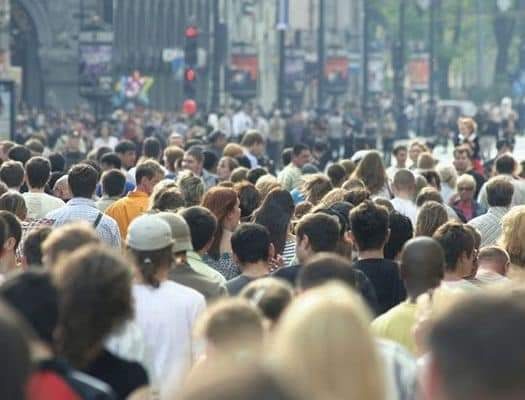 The Crowds